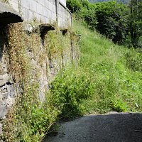 Camino público para ir a la fuente de El Sarañán.