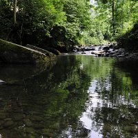 Pozu El Chabanón, en La Tablera.