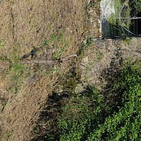 Restos del depósito de agua y el canal de la Fábrica de la luz.