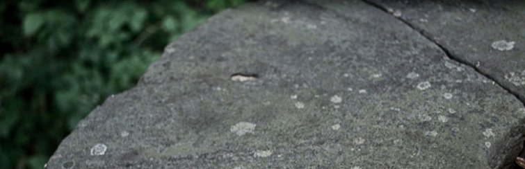 Antigua piedra de moler
